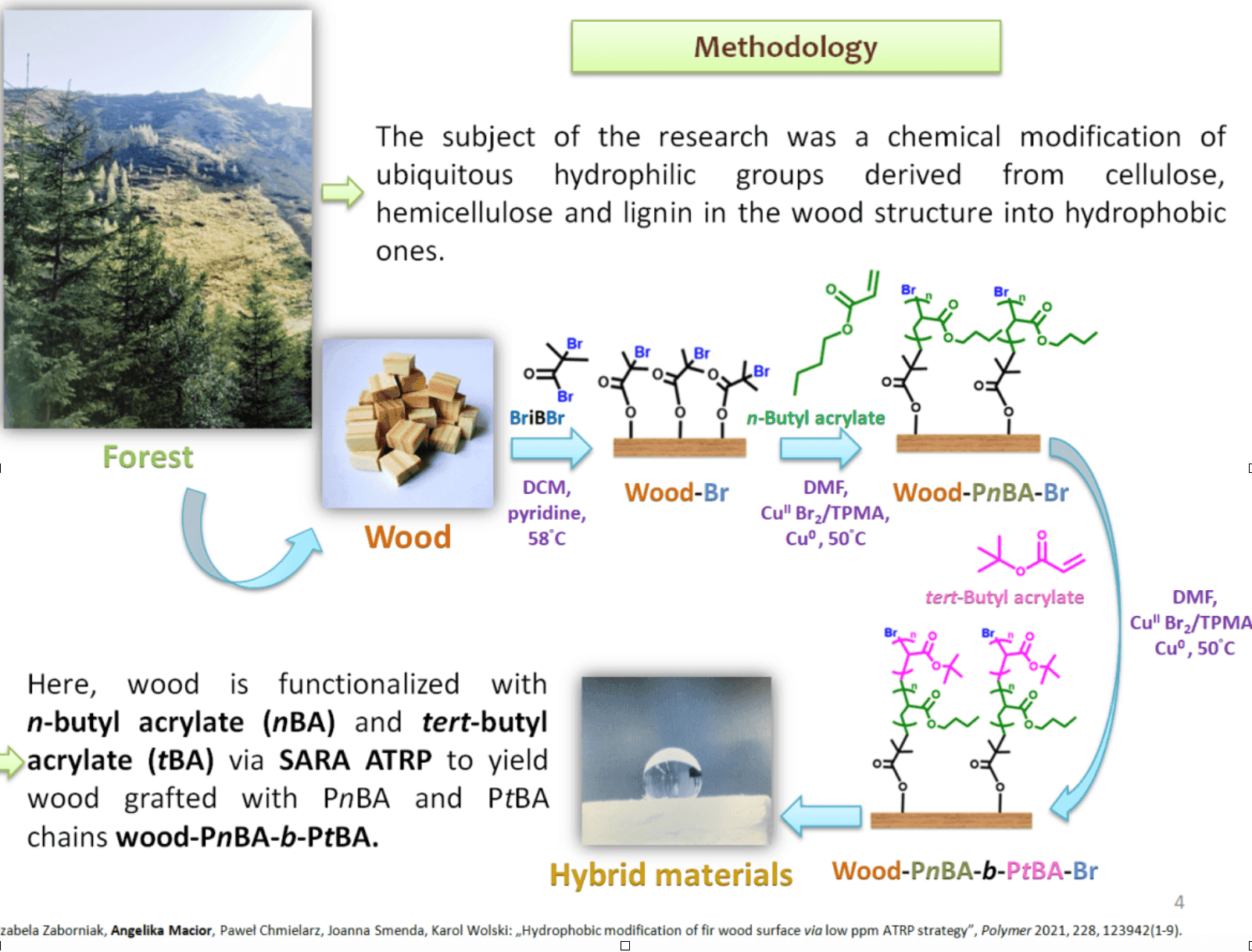 Wood – polymer composites with hydrophobic properties